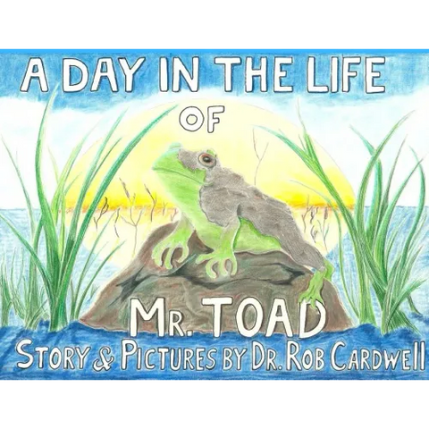A Day in the Life of Mr. Toad