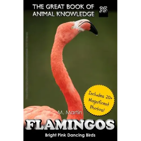 Flamingos: The Bright Pink Dancing Birds
