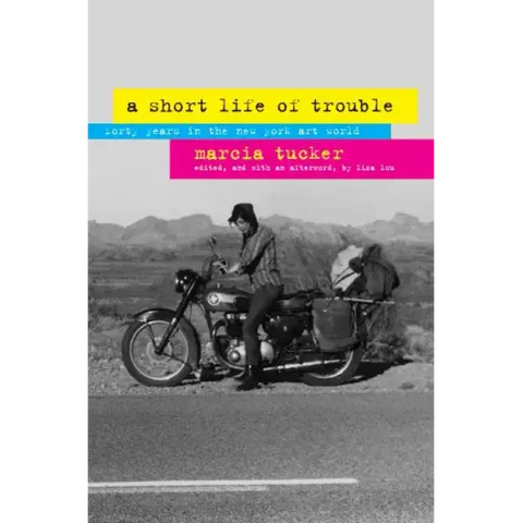 A Short Life of Trouble: Forty Years in the New York Art World
