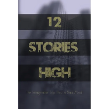 12 Stories High: The Imaginative Trip Thru a Black Mind