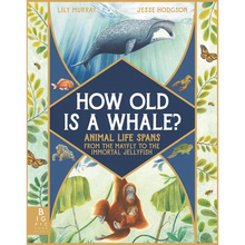 How Old Is a Whale?: Animal Life Spans from the Mayfly to the Immortal Jellyfish - Hardcover