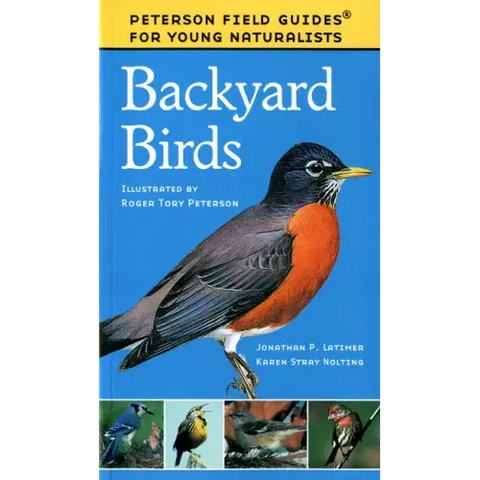 Backyard Birds