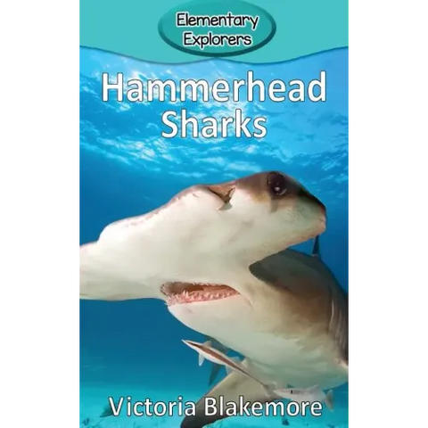 Hammerhead Sharks