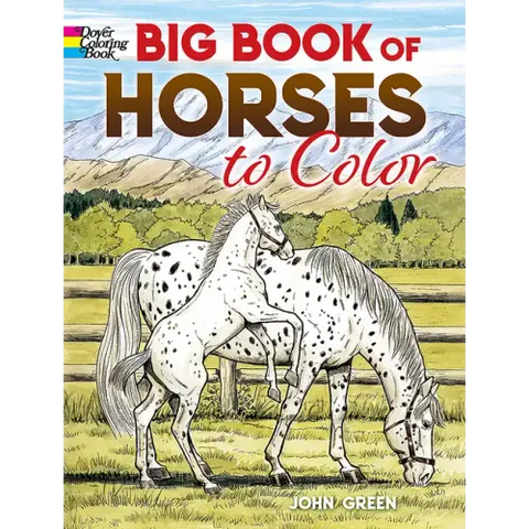 Big Book of Horses to Color