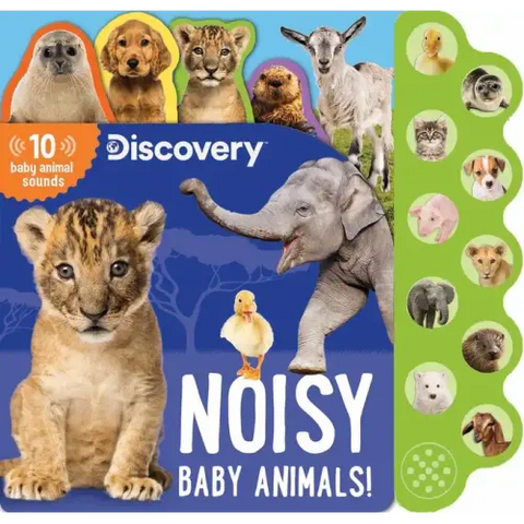 Discovery: Noisy Baby Animals!