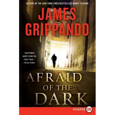 Afraid of the Dark: A Novel of Suspense