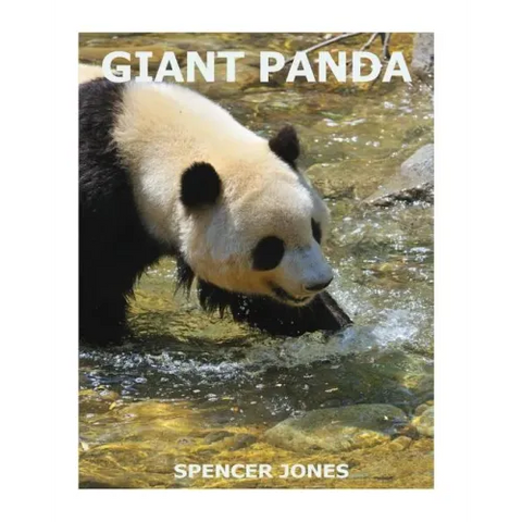 Giant Panda
