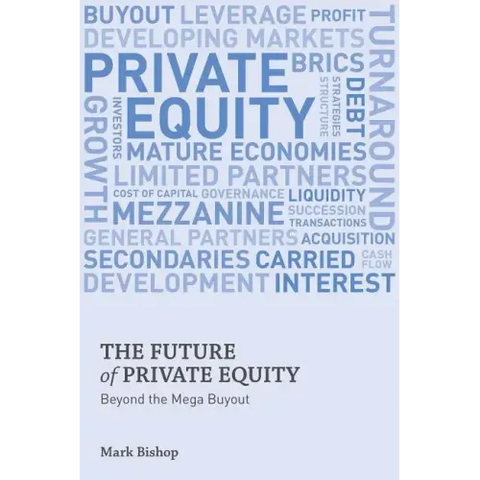 The Future of Private Equity: Beyond the Mega Buyout