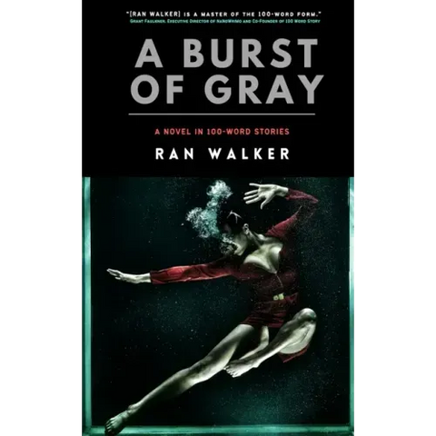 A Burst of Gray: A Novel in 100-Word Stories