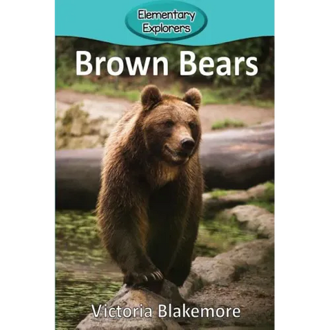 Brown Bears