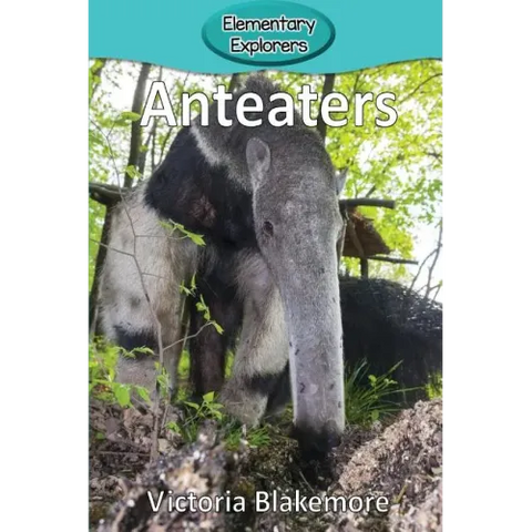 Anteaters