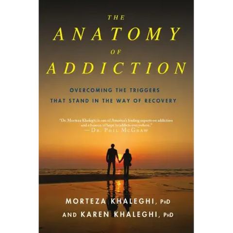 Anatomy of Addiction