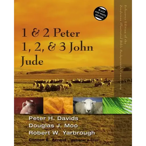 1 and 2 Peter, Jude, 1, 2, and 3 John