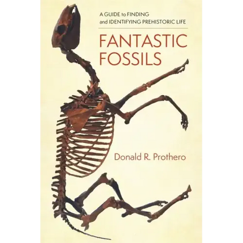 Fantastic Fossils: A Guide to Finding and Identifying Prehistoric Life