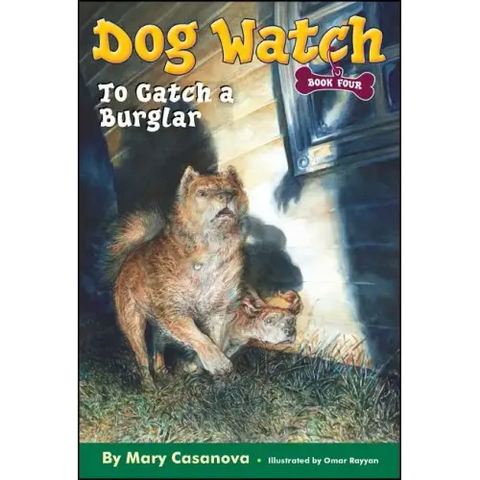 To Catch a Burglar