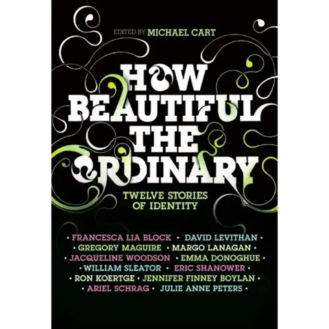 How Beautiful the Ordinary: Twelve Stories of Identity