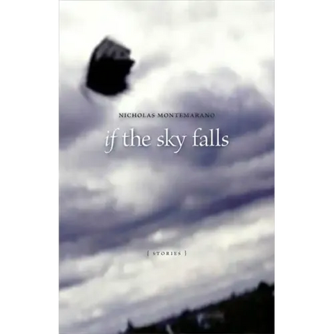 If the Sky Falls: Stories