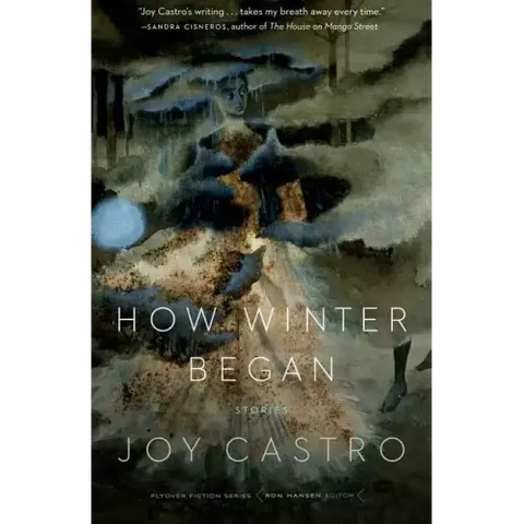 How Winter Began: Stories
