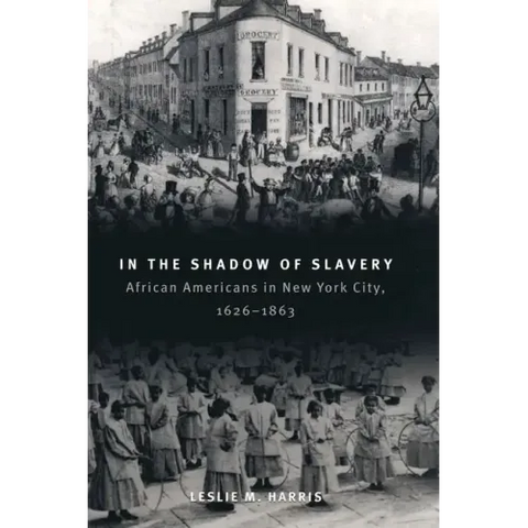In the Shadow of Slavery: African Americans in New York City, 1626-1863
