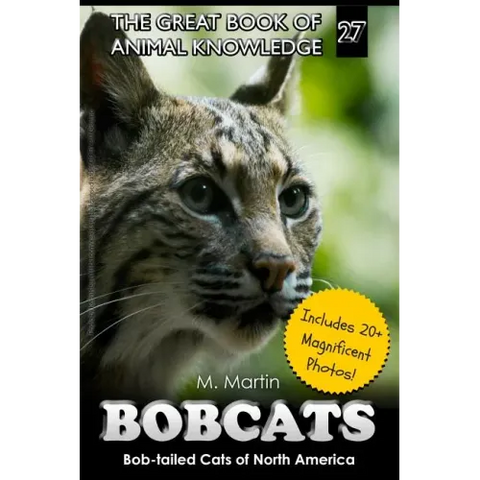 Bobcats: Bob-tailed Cats of North America