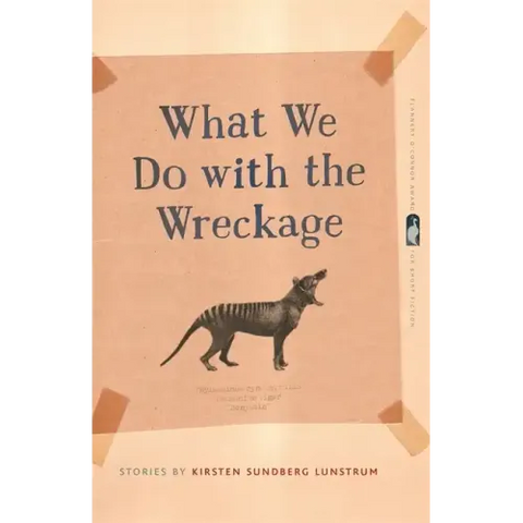 What We Do with the Wreckage: Stories