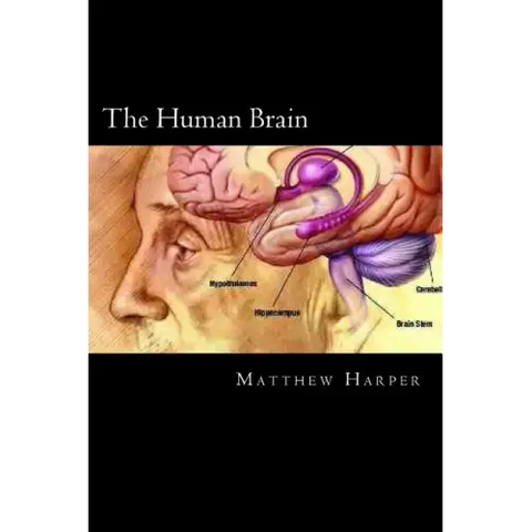 The Human Brain: A Fascinating Book Containing Human Brain Facts, Trivia, Images & Memory Recall Quiz: Suitable for Adults & Children