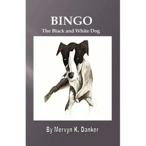 Bingo: The Black and White Dog