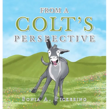 From a Colt's Perspective