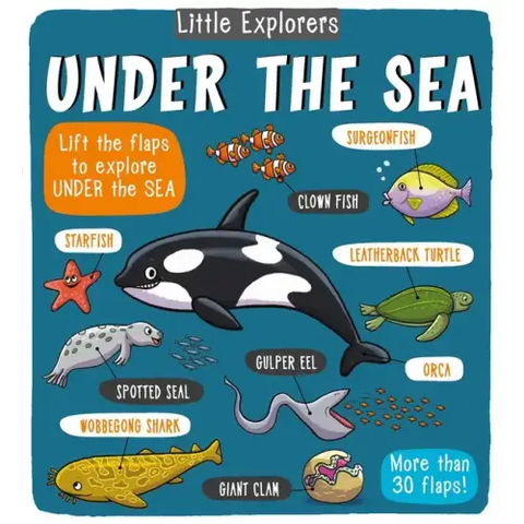 Little Explorers: Under the Sea