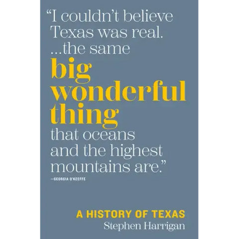 Big Wonderful Thing: A History of Texas