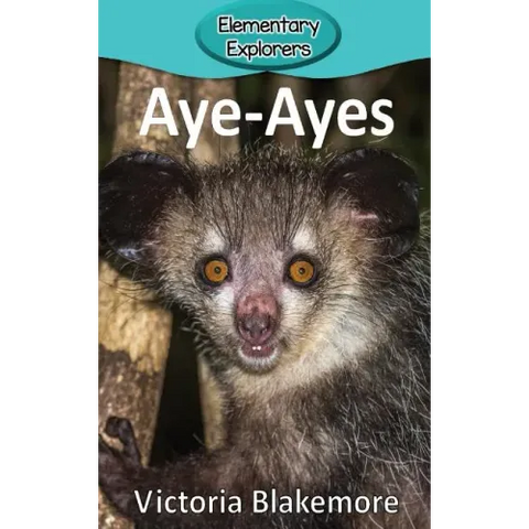 Aye-Ayes
