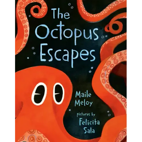 The Octopus Escapes