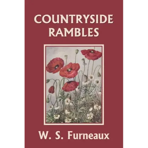 Countryside Rambles (Yesterday's Classics)