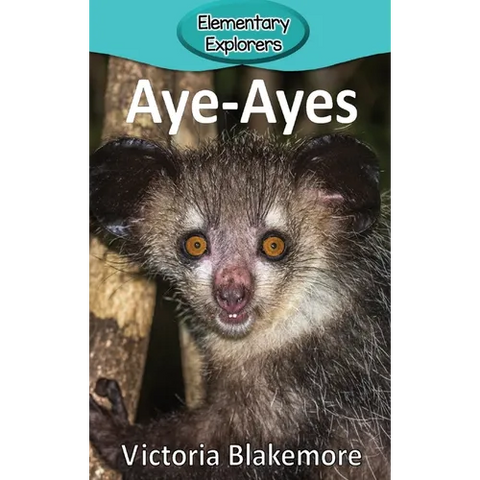 Aye-Ayes