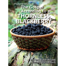 The Gospel According to a Blackberry