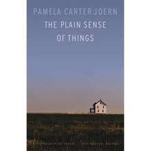 The Plain Sense of Things