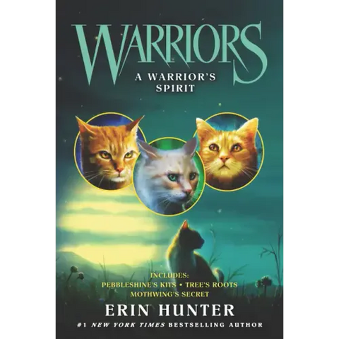 A Warrior's Spirit