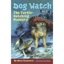 The Turtle-Hatching Mystery