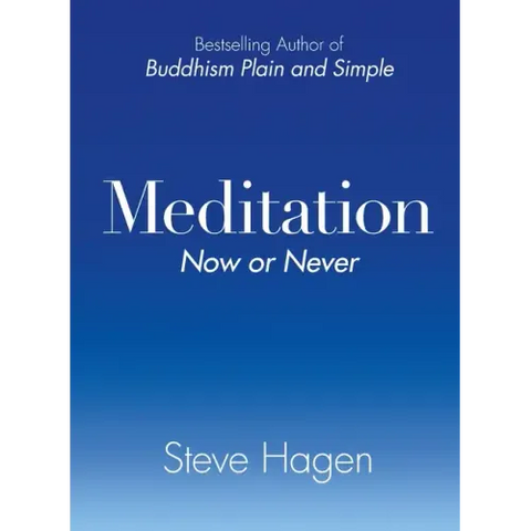 Meditation Now or Never