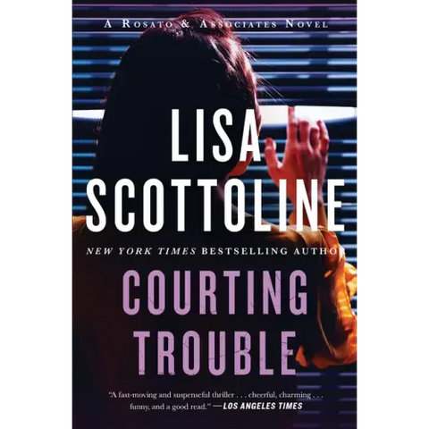Courting Trouble: A Rosato & Associates Novel