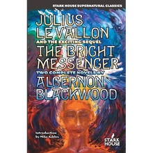 Julius LeVallon / The Bright Messenger - Paperback