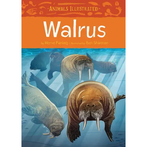 Animals Illustrated: Walrus
