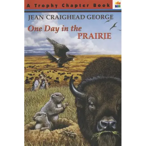 One Day in the Prairie