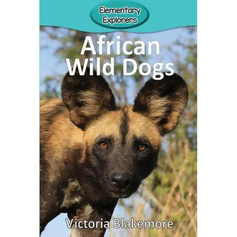 African Wild Dogs