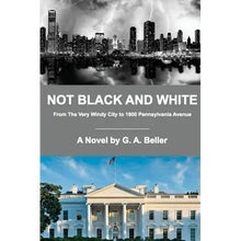 Not Black and White: From The Very Windy City to 1600 Pennsylvania Avenue