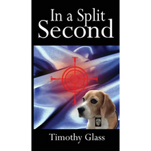 In a Split Second: A Connor Maxwell Mystery - Hardcover