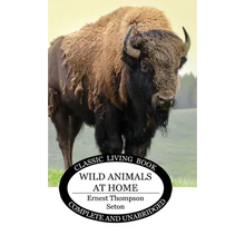 Wild Animals at Home - Hardcover