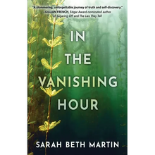In the Vanishing Hour - Paperback