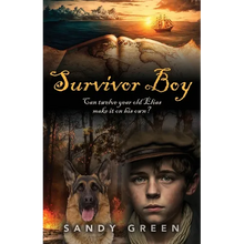 Survivor Boy - Paperback
