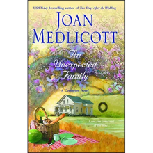 An Unexpected Family - Paperback
